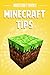 Minecraft Tips