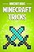 Minecraft Tricks
