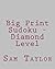 Big Print Sudoku - Diamond ...