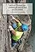 Rock Climbs of Johnson Shut-Ins State Park by Jim Thurmond