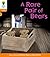 Oxford Reading Tree: Level 6: Floppy's Phonics: A Rare Pair of Bears: Level 6: Local Teacher's Materiallocal Teacher's Material Level 6