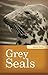 Grey Seals