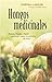 Hongos medicinales (Spanish Edition)