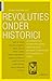 Revoluties onder historici