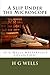 A Slip Under the Microscope: (H G Wells Masterpiece Collection)
