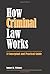 How Criminal Law Works: A Conceptual and Practical Guide