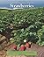 Integrated Pest Management for Strawberries (Publication / University of California, Agriculture and Natu)