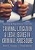 Criminal Litigation and Legal Issues in Criminal Procedure