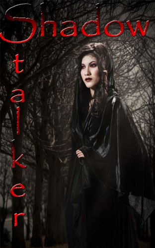 Shadow Stalker (Kindle Edition)