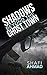 Shadows Beyond the Ghost Town by Shafi Ahmad