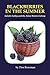 Blackberries in the Summer