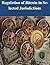 Regulation of Bitcoin in Se...