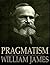 Pragmatism