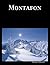 Montafon