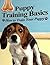 Puppy Training Basics - How to Train Your Puppy