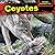 Coyotes (Scavengers: Eating Nature's Trash)