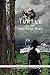 Turtle in the Hot Plum Moon by Pat Ramsey Beckman
