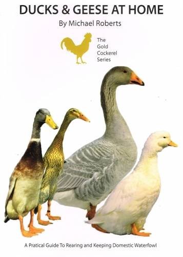 Ducks and Geese at Home (Paperback)
