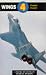 Wings 4: Ferret Flight: A N...