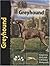 Greyhound by Juliette Cunliffe