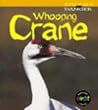 Animals in Danger: Whooping Crane (Animals in Danger) Animals in Danger: Whooping Crane (Animals in Danger)