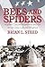 Bees and Spiders: Applied Cultural Awareness and the Art of Cross-Cultural Influence