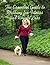 The Essential Guide to Walk...