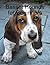 Basset Hounds for Beginners