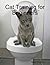 Cat Training for Beginners