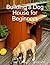 Building a Dog House for Beginners by Cameron Lynne