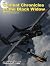 Black Widow Combat Chronicles
