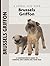 Brussels Griffon