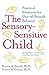 The Sensory-Sensitive Child by Karen A. Smith