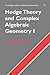 Hodge Theory and Complex Algebraic Geometry I