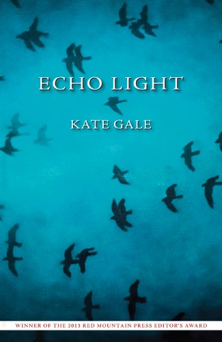 Echo Light (Paperback)