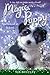 Spellbound at School (Magic Puppy)