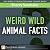 Weird Wild Animal Facts by Sherry Seethaler