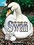 Life Cycle of a Swan