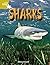 Rigby Star Independent Year 2 Gold Non Fiction Sharks Single: Gold Level Non-fiction