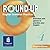 Round-up: English Grammar Practice: CD-Rom 4 (Round Up Grammar Practice)