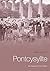Memories of Pontcysyllte by Amy Douglas