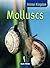 Molluscs (Animal Kingdom) (Animal Kingdom)