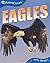 Eagles (QED Animal Lives)