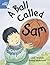 A Ball Called Sam (Rigby Star)