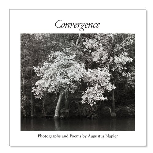 Convergence (Hardcover)