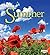 Summer (First Step Nonfiction: Seasons)