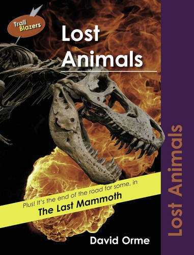 Lost Animals (Paperback)