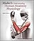 Mader's Understanding Human Anatomy & Physiology [with Connec... by Susannah N. Longenbaker