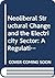 Neoliberal Structural Change and the Electricity Sector by Lynne Chester