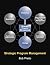 Strategic Program Management